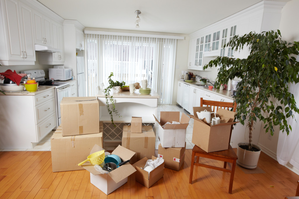 Move-In / Move-Out Cleaning